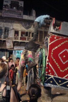 Photo of elephant in Pushkar market square 2010