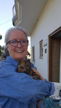 Kelly McDermott-Burns Archives - Shelter Animal Reiki Association