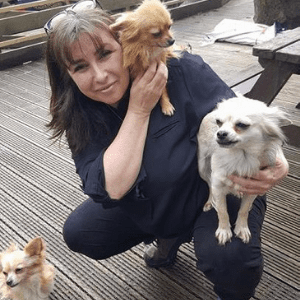 alison mckinnon with her dogs