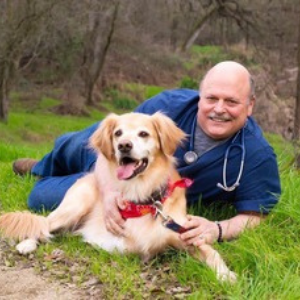 dr marc malek laying with his dog