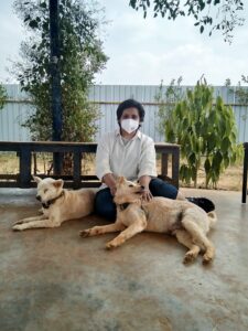 indrani das sitting with some light colored shelter dogs