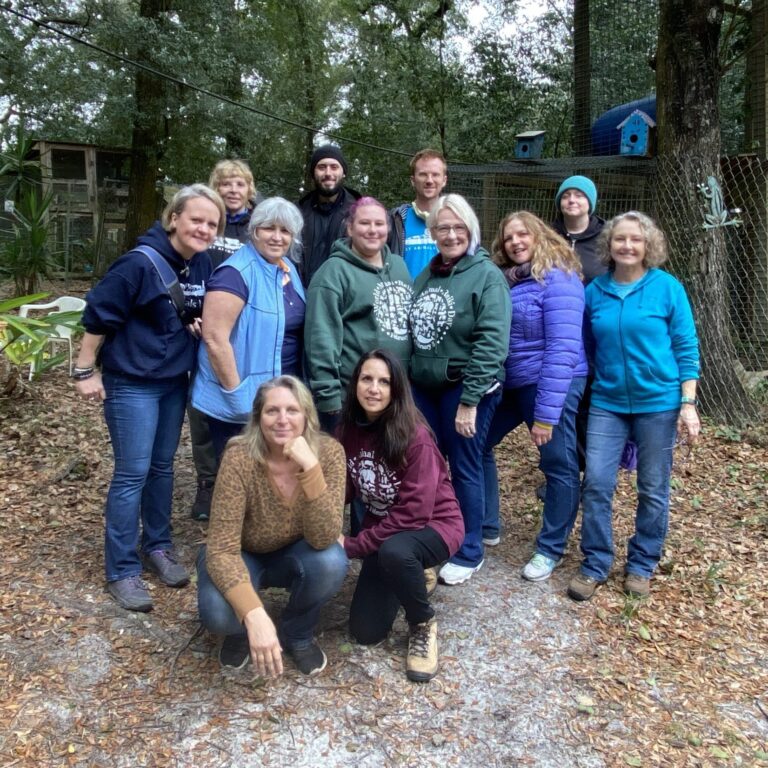 a group of Let Animals Lead® method of animal reiki students