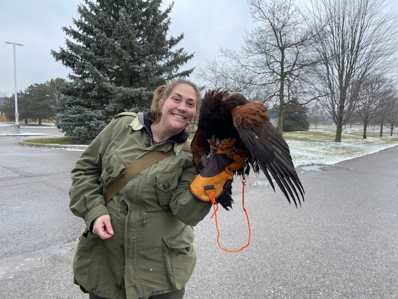 Animal Reiki and Falconry: Building Trust with a Traumatized Harris's Hawk