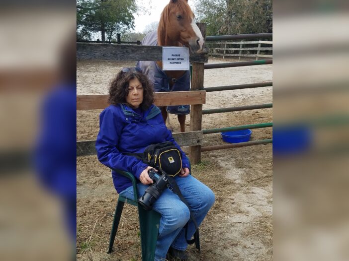 Horse and human relax during Animal Reiki session.