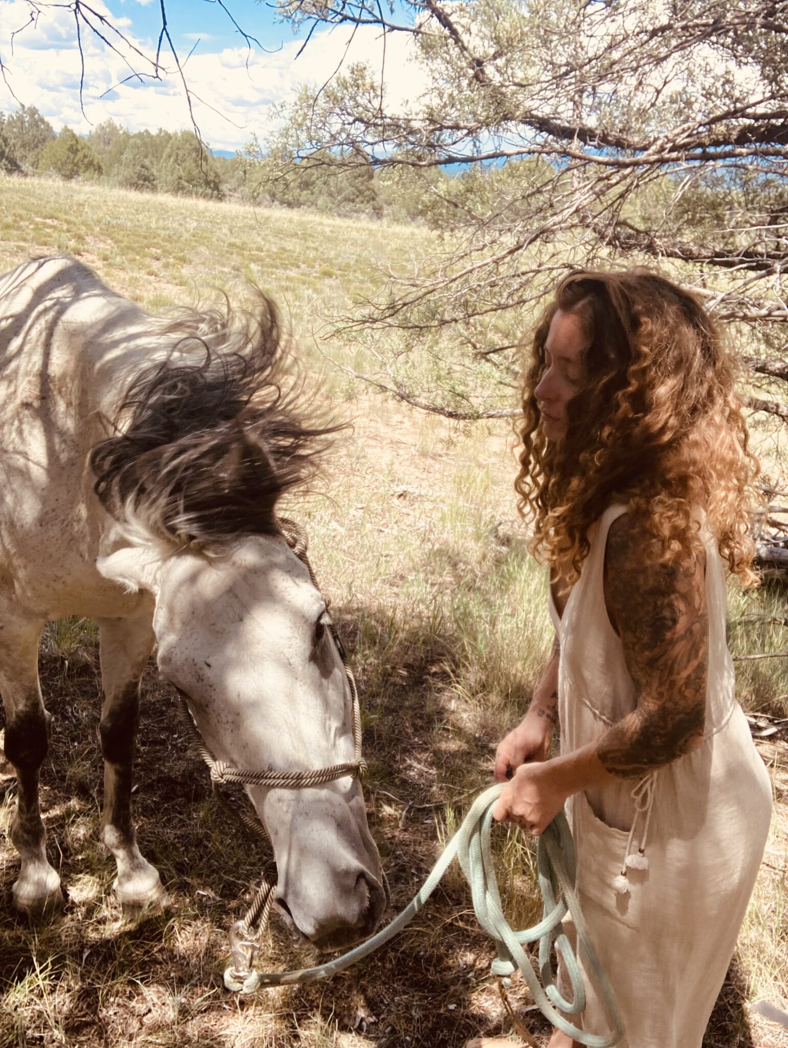 Mindfulness with Horses: Discover the Secret to Deeper Connection ...